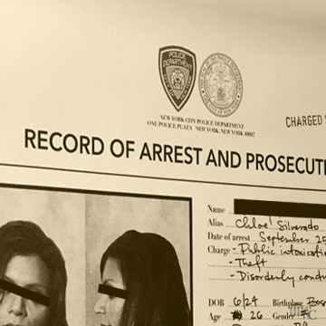 Criminal RAP Sheet